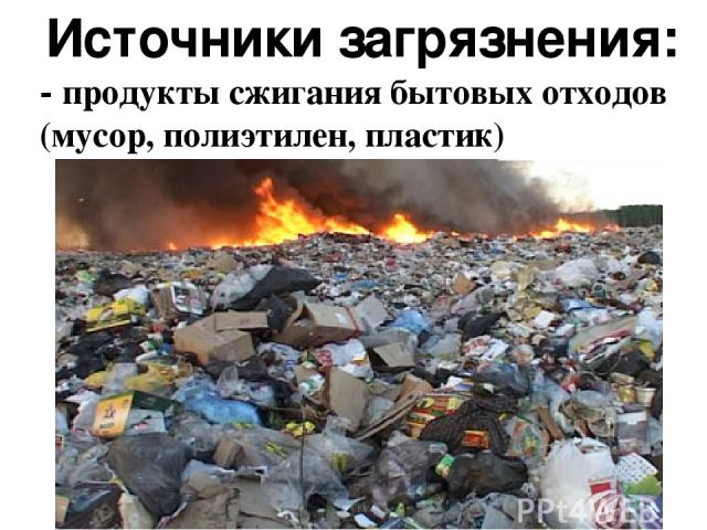 Источники загрязнения: - продукты сжигания бытовых отходов (мусор, полиэтилен, пластик)
