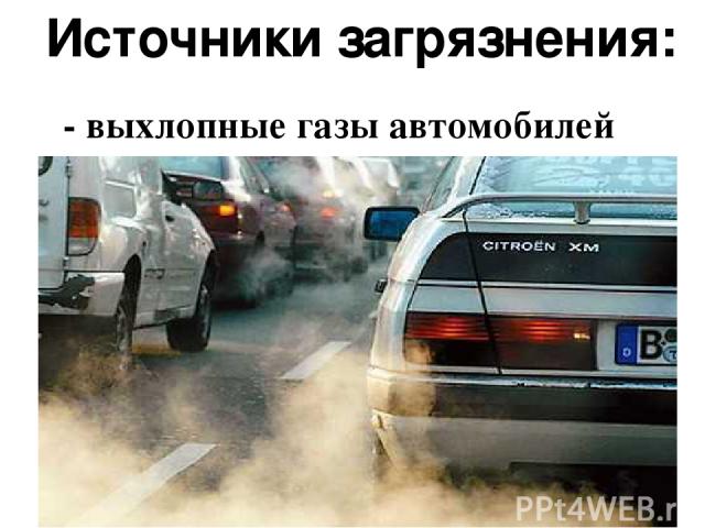 Источники загрязнения: - выхлопные газы автомобилей