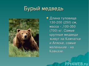 Бурый медведь Длина туловища 130-200 (250) см, масса - ,100-350 (700) кг. Самые