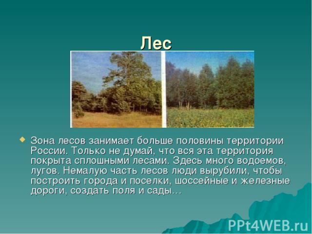 Лес Зона лесов занимает больше половины территории России. Только не думай, что вся эта территория покрыта сплошными лесами. Здесь много водоемов, лугов. Немалую часть лесов люди вырубили, чтобы построить города и поселки, шоссейные и железные дорог…
