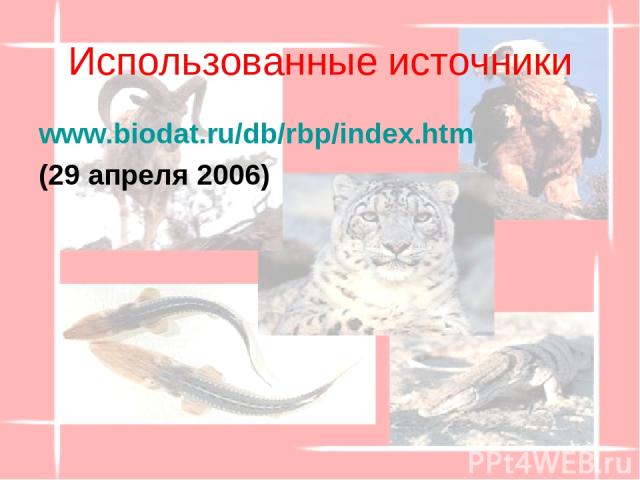 Использованные источники www.biodat.ru/db/rbp/index.htm (29 апреля 2006)