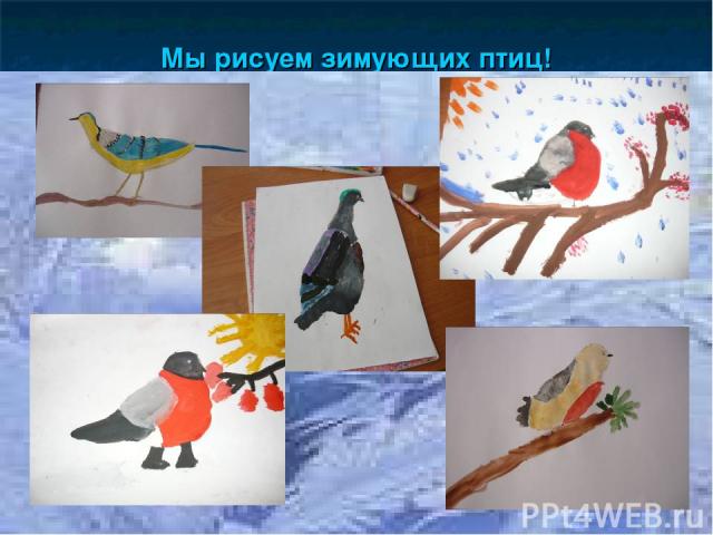 Мы рисуем зимующих птиц!