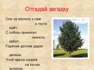 Отгадай загадку Оно за весною к нам в гости идёт, С собою приносит немало забот.