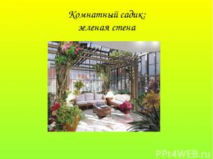 Комнатный садик: зеленая стена