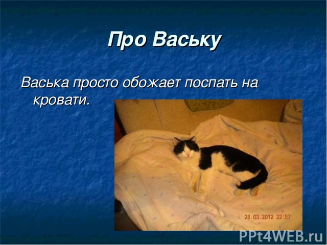 Про Ваську Васька просто обожает поспать на кровати.