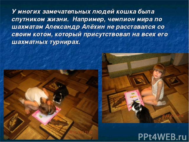 У многих замечательных людей кошка была спутником жизни. Например, чемпион мира по шахматам Александр Алёхин не расставался со своим котом, который присутствовал на всех его шахматных турнирах.