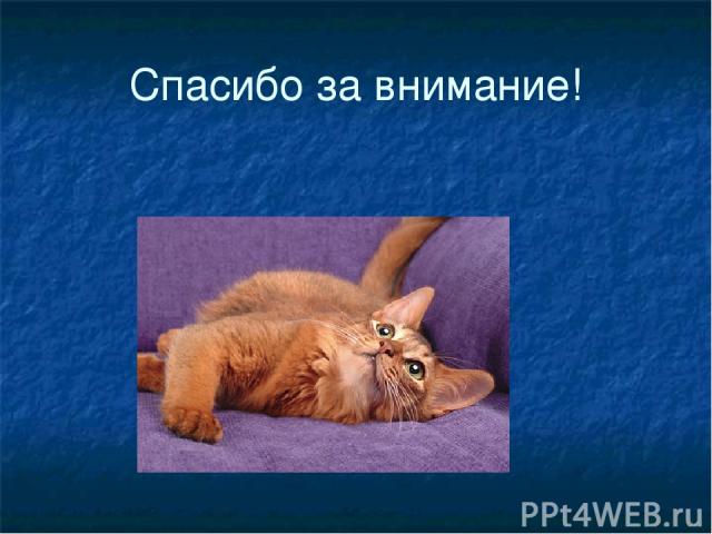 Догадайся какую скороговорку хотел выучить кот Васька. Скороговорка который хотел выучить кот Васька.