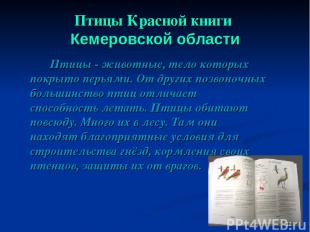 Птицы Красной книги Кемеровской области Птицы - животные, тело которых покрыто п
