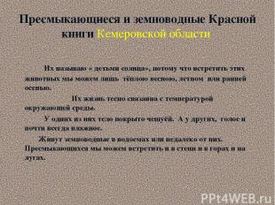 Пресмыкающиеся и земноводные Красной книги Кемеровской области Их называю « деть