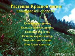 Растения Красной книги Кемеровской области Если я сорву цветок, Если ты сорвешь