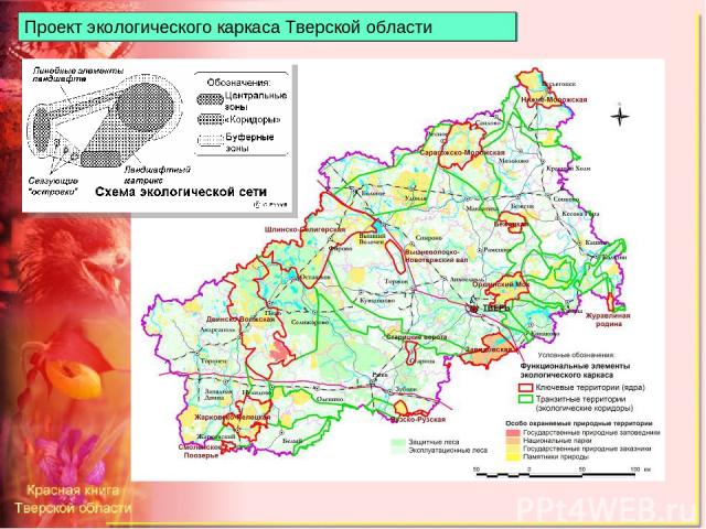 Проект экологического каркаса Тверской области