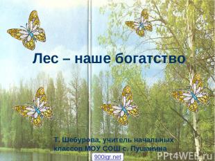 Лес – наше богатство Т. Шебурова, учитель начальных классов МОУ СОШ с. Пушанина