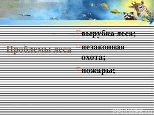 Проблемы леса вырубка леса; незаконная охота; пожары;