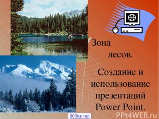 Зона лесов. Создание и использование презентаций Power Point. 900igr.net