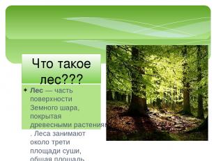 Лес — часть поверхности Земного шара, покрытая древесными растениями. Леса заним