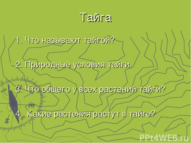 Тайга 1. Что называют тайгой? 2. Природные условия тайги. 3. Что общего у всех растений тайги? 4. Какие растения растут в тайге?