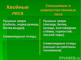 Хвойные леса Смешанные и широколиственные леса Пушные звери (соболь, норка,куниц