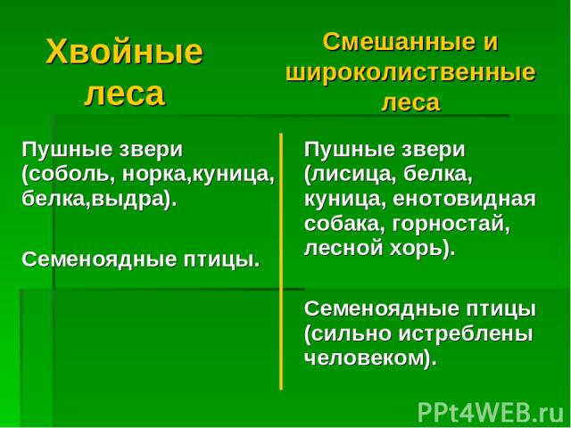 Хвойные леса Смешанные и широколиственные леса Пушные звери (соболь, норка,куница, белка,выдра). Семеноядные птицы. Пушные звери (лисица, белка, куница, енотовидная собака, горностай, лесной хорь). Семеноядные птицы (сильно истреблены человеком).