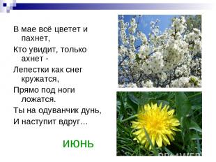июнь В мае всё цветет и пахнет, Кто увидит, только ахнет - Лепестки как снег кру