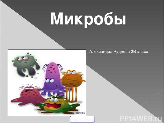 Микробы Александра Руднева 3В класс 5klass.net