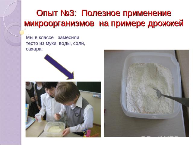 Опыт №3: Полезное применение микроорганизмов на примере дрожжей Мы в классе замесили тесто из муки, воды, соли, сахара.