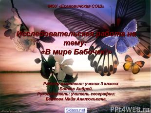 МОУ «Есеновичская СОШ» Исследовательская работа на тему: «В мире Бабочек!» Работ