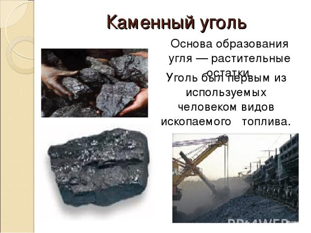 Каменный уголь У голь был первым из используемых человеком видов ископаемого топлива. Основа образования угля — растительные остатки.
