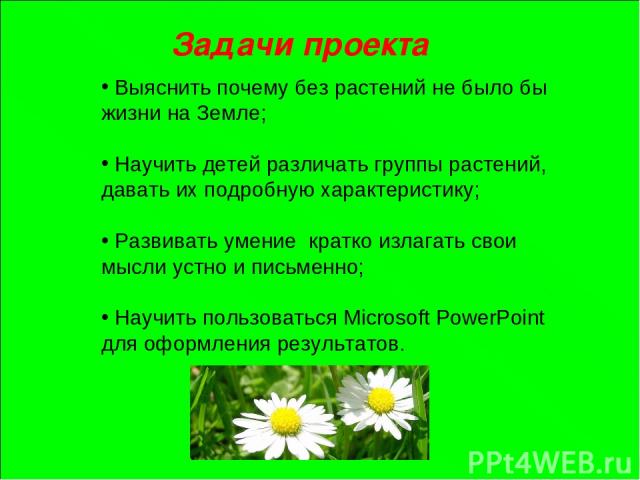 Выяснить почему без растений не было бы жизни на Земле; Научить детей различать группы растений, давать их подробную характеристику; Развивать умение кратко излагать свои мысли устно и письменно; Научить пользоваться Microsoft PowerPoint для оформле…