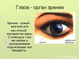 Глаза - орган зрения Зрение - самый важный для нас способ восприятия мира. С пом