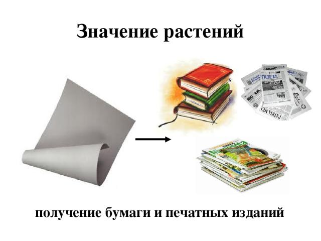 Значение растений получение бумаги и печатных изданий