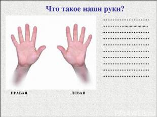 Что такое наши руки? …………………………………................... ……………………………………………………………………