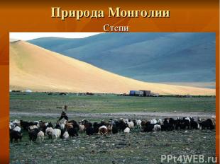 Природа Монголии Степи