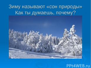 Зиму называют «сон природы» Как ты думаешь, почему?