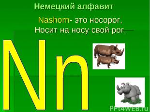 Nashorn- это носорог, Носит на носу свой рог. Немецкий алфавит