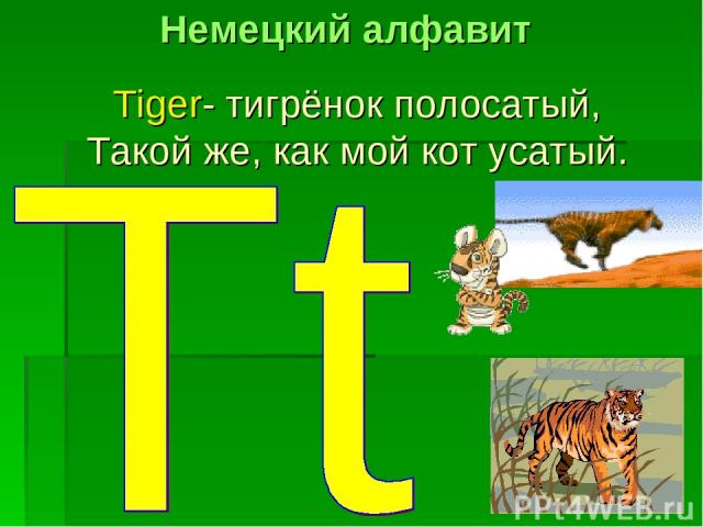 Tiger- тигрёнок полосатый, Такой же, как мой кот усатый. Немецкий алфавит