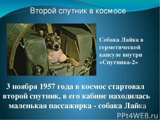 Второй спутник в космосе 3 ноября 1957 года в космос стартовал второй спутник, в его кабине находилась маленькая пассажирка - собака Лайка Собака Лайка в герметической капсуле внутри «Спутника-2»
