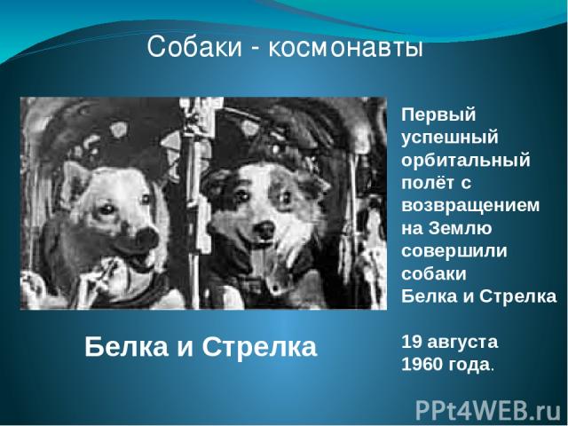 Первый успешный орбитальный полёт с возвращением на Землю совершили собаки Белка и Стрелка 19 августа 1960 года. Собаки - космонавты Белка и Стрелка
