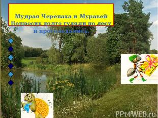 Мудрая Черепаха и Муравей Вопросик долго гуляли по лесу и проголодались.
