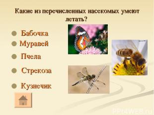 Какие из перечисленных насекомых умеют летать? Бабочка Кузнечик Стрекоза Пчела М