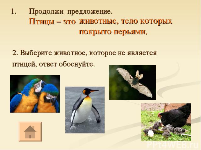 Продолжи предложение. Птицы – это 2. Выберите животное, которое не является птицей, ответ обоснуйте. животные, тело которых покрыто перьями.