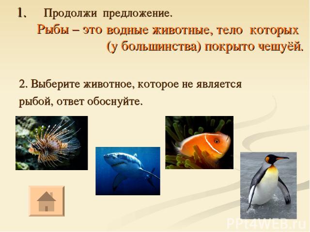 1. Продолжи предложение. Рыбы – это 2. Выберите животное, которое не является рыбой, ответ обоснуйте. водные животные, тело которых (у большинства) покрыто чешуёй.