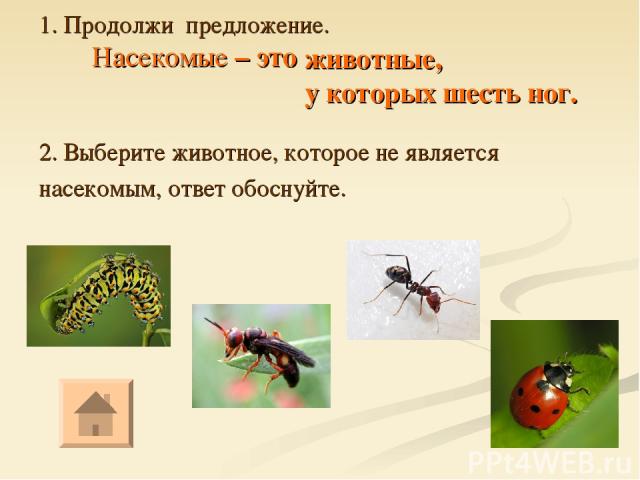 1. Продолжи предложение. Насекомые – это 2. Выберите животное, которое не является насекомым, ответ обоснуйте. животные, у которых шесть ног.