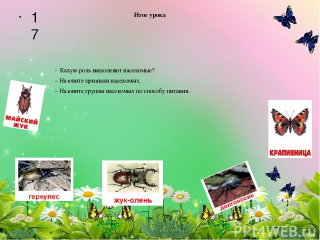 Итог урока - Какую роль выполняют насекомые? – Назовите признаки насекомых. – Назовите группы насекомых по способу питания. 17 1-21