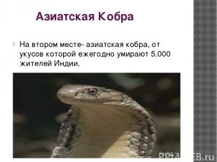 Азиатская Кобра На втором месте- азиатская кобра, от укусов которой ежегодно уми