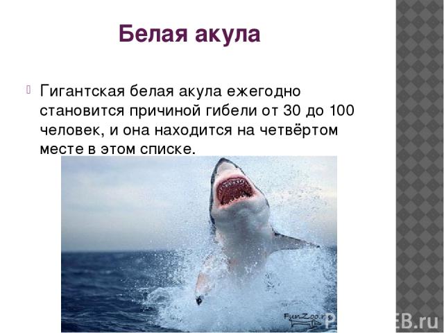 Белая акула Гигантская белая акула ежегодно становится причиной гибели от 30 до 100 человек, и она находится на четвёртом месте в этом списке.