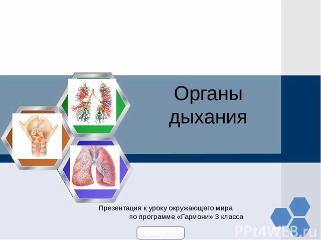 Органы дыхания Презентация к уроку окружающего мира по программе «Гармони» 3 класса 900igr.net