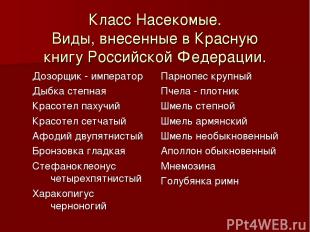 Класс Насекомые. Виды, внесенные в Красную книгу Российской Федерации. Дозорщик