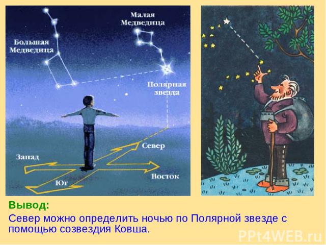 Вывод: Север можно определить ночью по Полярной звезде с помощью созвездия Ковша.