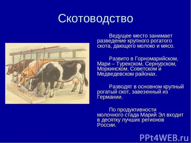 Скотоводство Ведущее место занимает разведение крупного рогатого скота, дающего молоко и мясо. Развито в Горномарийском, Мари – Турекском, Сернурском, Моркинском, Советском и Медведевском районах. Разводят в основном крупный рогатый скот, завезенный…