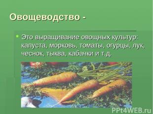 Овощеводство - Это выращивание овощных культур: капуста, морковь, томаты, огурцы